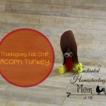 Thanksgiving-Kids-Craft-Acorn-Turkey