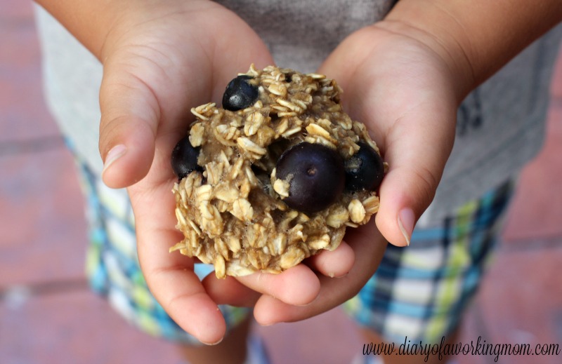 Blueberry Banana Breakfast Cookies for Toddlers