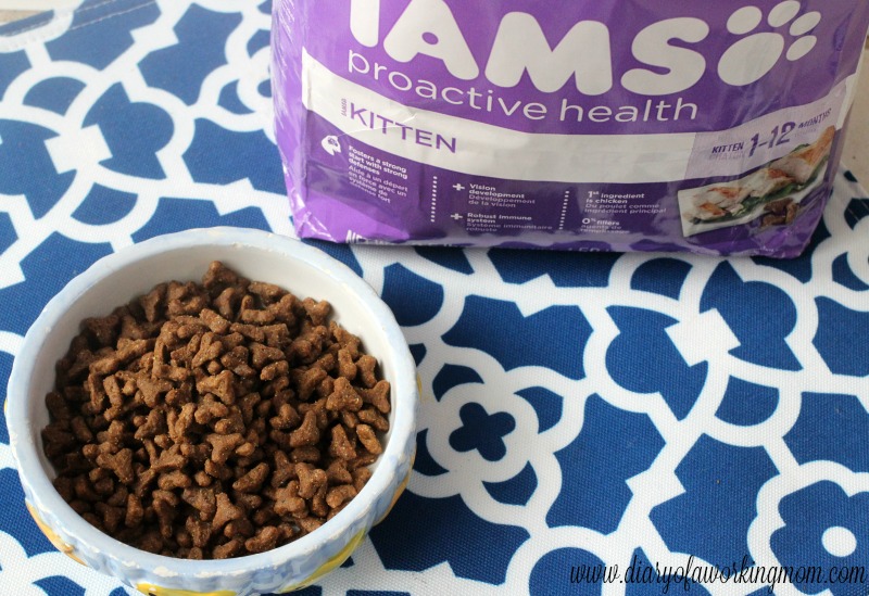 iams-visible-difference-proactive-health-kitten