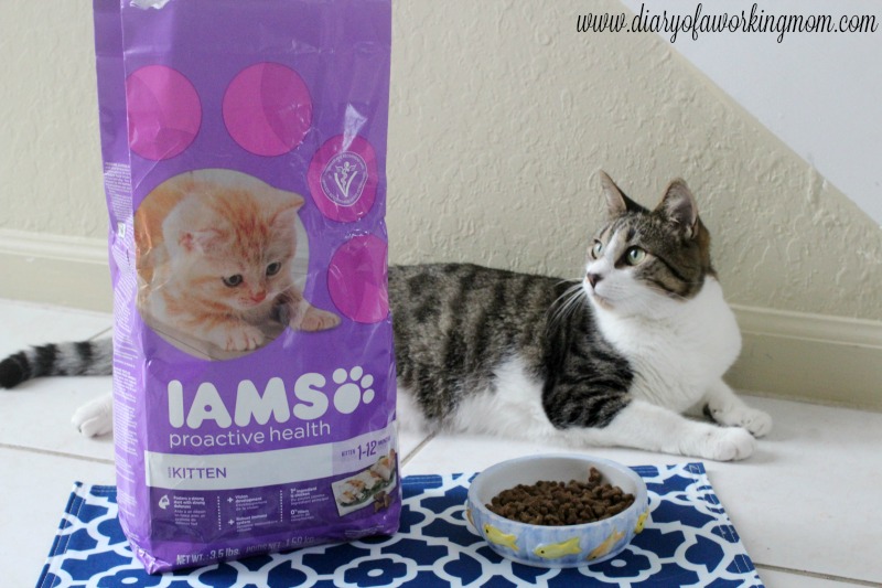 iams-visible-difference